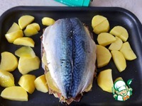 ������������� �������� � ������� � �������� �����������