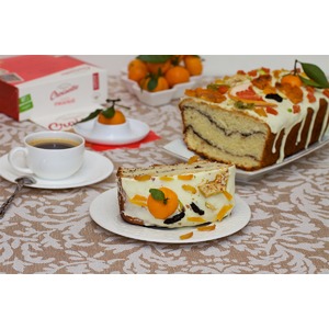 ���� ��������� "����������"