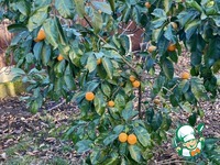 ������� �� ���������� � ������� �����������