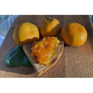 ������� �� ���������� � �������