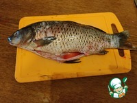 ����� ������� � ������� �� ��������� �����������