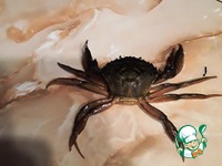 ��� ����������� "������� �������" �����������