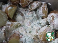 ����-������ � ������������ ������� �����������