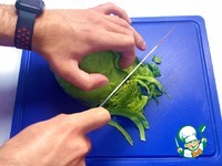 ���������� � ���� ���� � �������� �����������