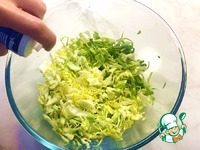 ���������� � ���� ���� � �������� �����������