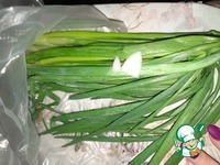 Как хранить зелень