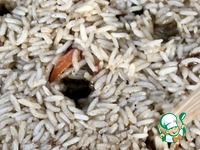 ���� ��������� �����������