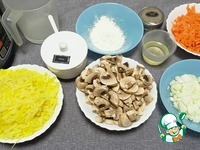 ������� �����������-������� ��������� �����������