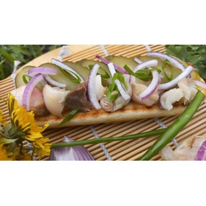 ��������� �� ���������