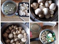 ���������� � �������� ��������� "��-��������" �����������