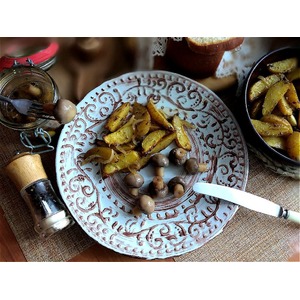 ���������� � �������� ��������� "��-��������"