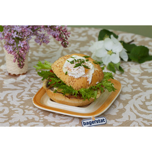 ������ � ����� �����