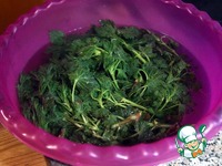 ������� �� � �������� �����������