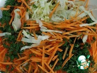 ������ � ���������� � ��������� ������� �����������