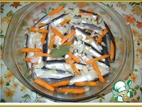 ������ � �������� ����� � ������� �����������