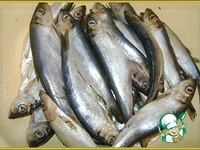 ������ � �������� ����� � ������� �����������