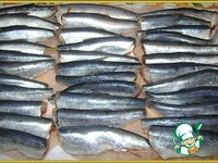 ������ � �������� ����� � ������� �����������