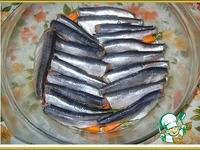 ������ � �������� ����� � ������� �����������