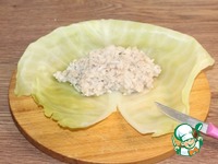 ������������ ������� � ������ ������ �����������