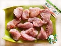 ������ �������� � �������� � ������� �����������