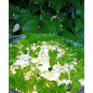 ������ � ������� ����� � ��������