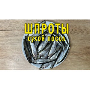 ������ ������ ����� �������