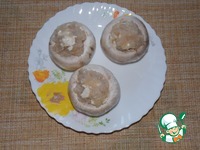 ������������� ���������� � ������ � ����� �����������