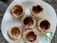 ������������� ���������� � �������� �����������