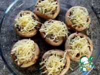 ������������� ���������� � �������� �����������