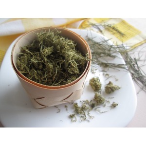 ���� �������� ����������������