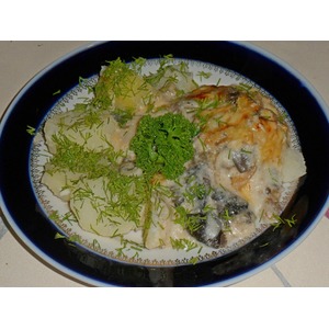 ����, ���������� � �������