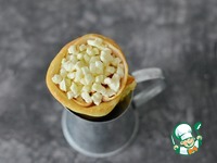 ���� ����� �����������