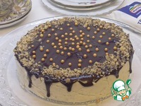 ������ � �������� �����������