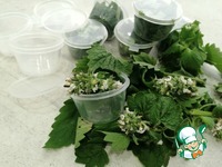 Заморозка мяты и мелиссы