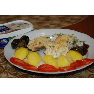 ���� � ������ �����