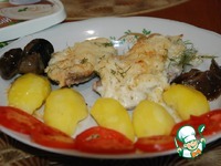 ���� � ������ ����� �����������