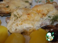 ���� � ������ ����� �����������