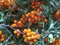 ����������� ��� � ������� � ������� �����������