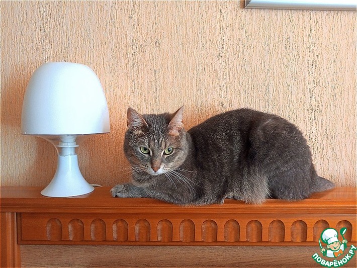 �����. ���� ������ 2024 �.