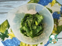 �������� ���� �� �������� �����������