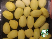 �������� � ������� �����������