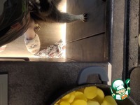 �������� � ������� �����������