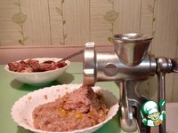 ������� �� ����� �����������