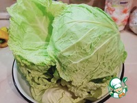 ������ ������� �� ��������� ������� �����������