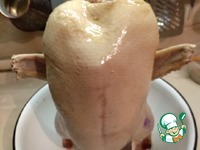 ���� ��-�������� �����������