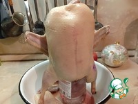 ���� ��-�������� �����������