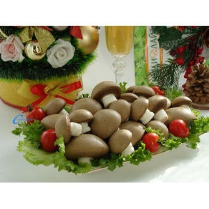 ������� "��������"