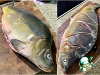 ����, ���������� � ������� �����������