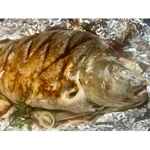 ����, ���������� � �������