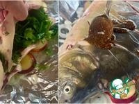 ����, ���������� � ������� �����������